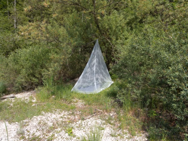 Brettschneider imprägn. Moskitonetz 'Expedition' - Pyramide 1