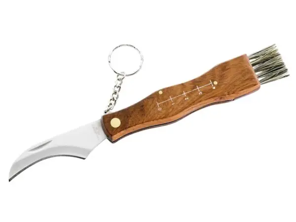 Herbertz Pilzmesser, AISI 420, Rosenholz, mit Bürste