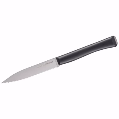Opinel Intempora II Allzweckmesser - Gravur möglich